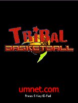 game pic for Tribal Basketball  N73